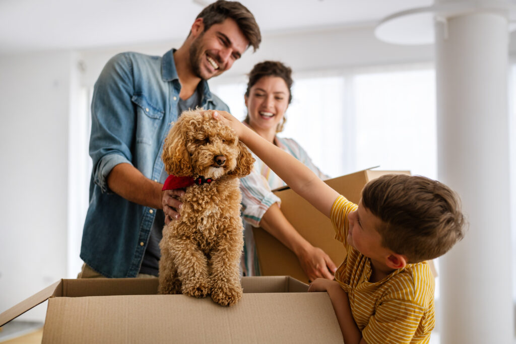Settling In: Tips to Help Your Pets Adjust to a New Home After A Move